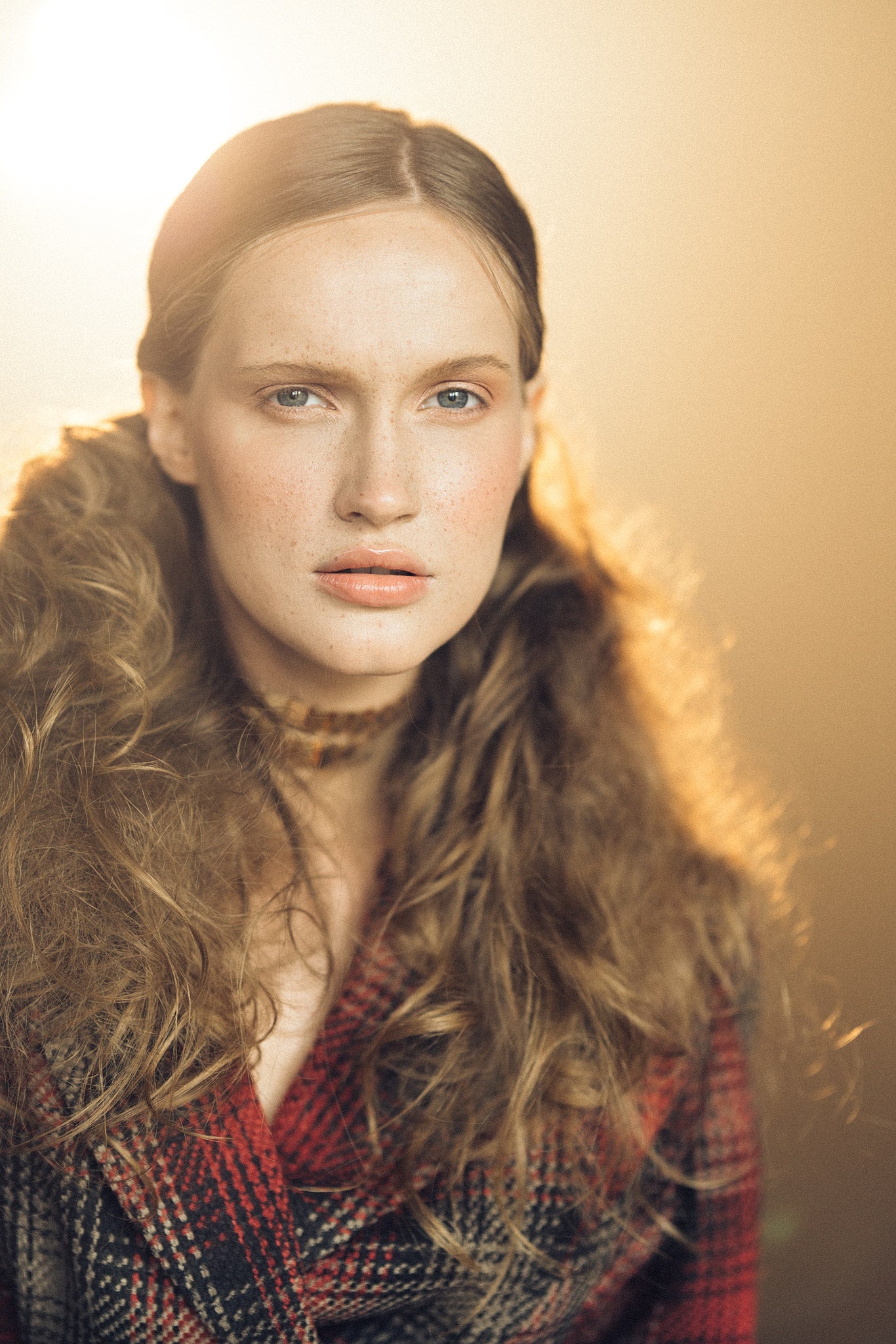 VSCO-Stile für Capture One Vollversion (Filme 00–07 enthalten über 600 Stile)