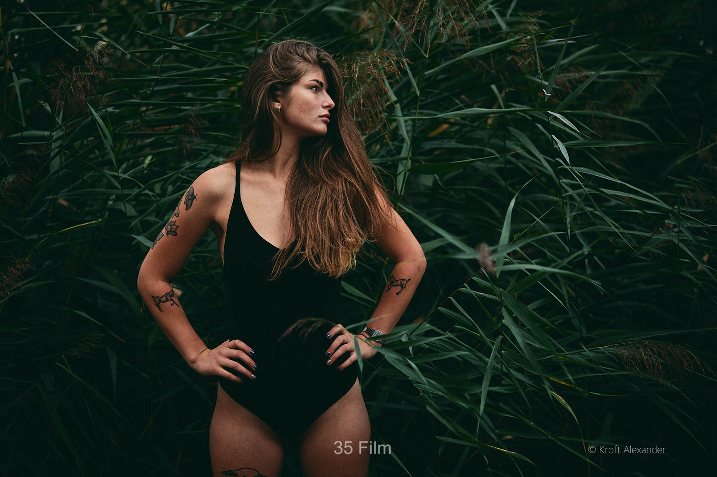 Analoge Filmstile für Capture One (149 Stile)