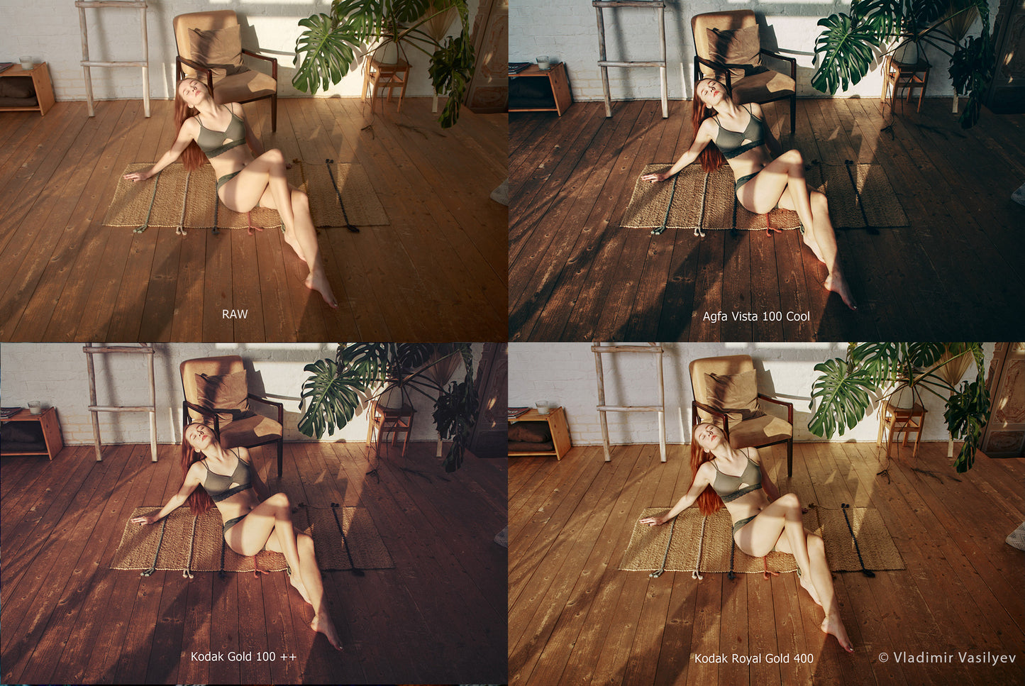 VSCO-Stile für Capture One Vollversion (Filme 00–07 enthalten über 600 Stile)