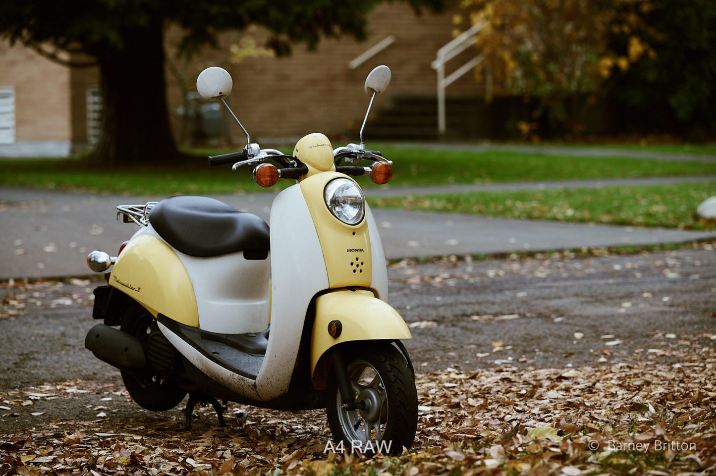 Mobile Filter Styles for Capture One (100+ styles)