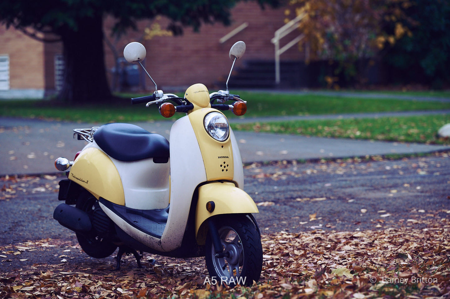 Mobile Filter Styles for Capture One (100+ styles)