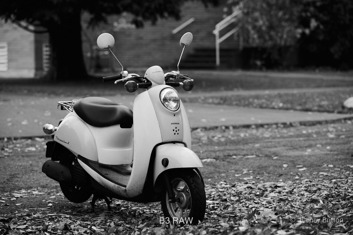 Mobile Filter Styles for Capture One (100+ styles)