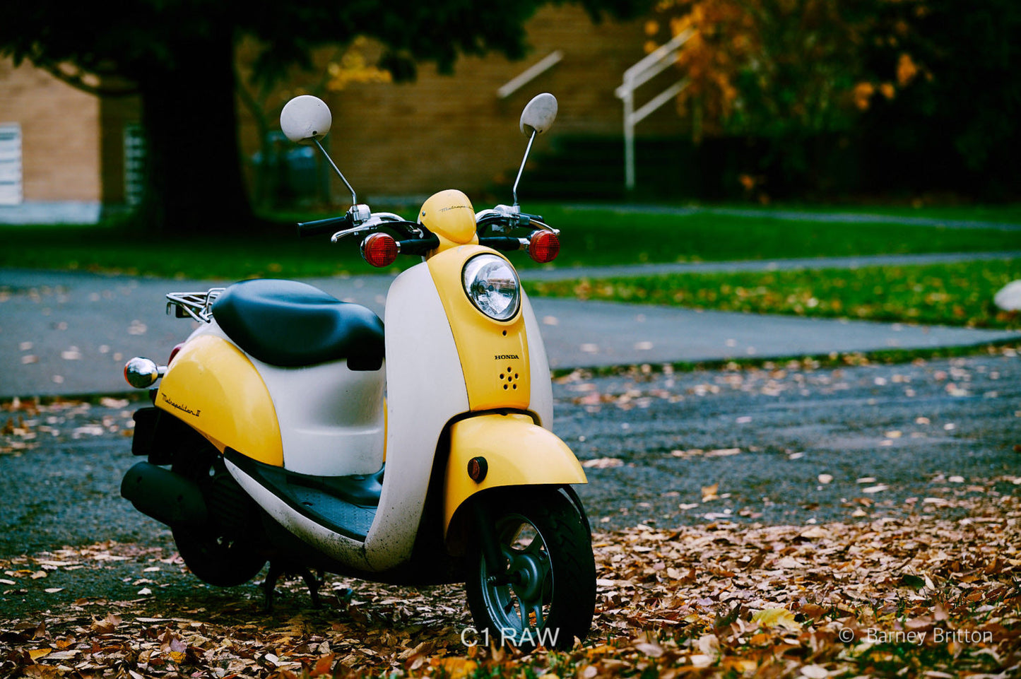 Mobile Filter Styles for Capture One (100+ styles)