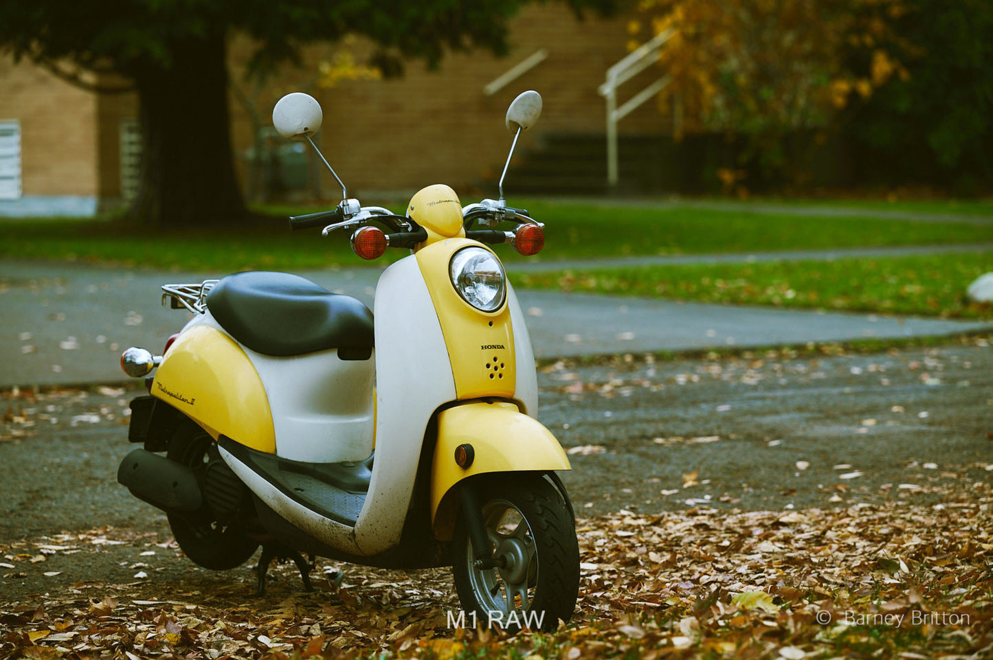 Mobile Filter Styles for Capture One (100+ styles)