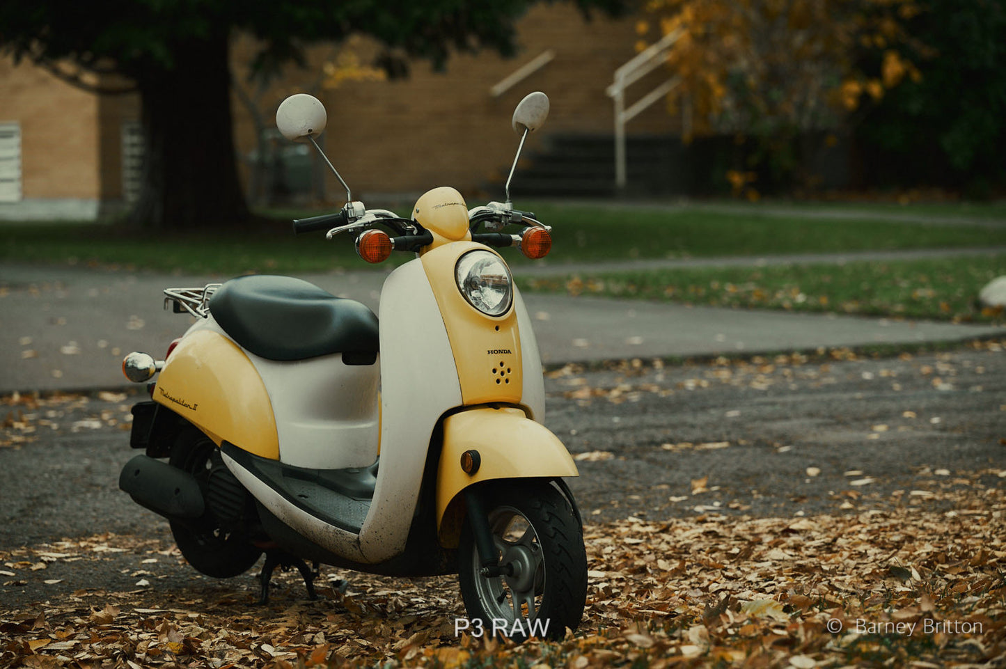 Mobile Filter Styles for Capture One (100+ styles)