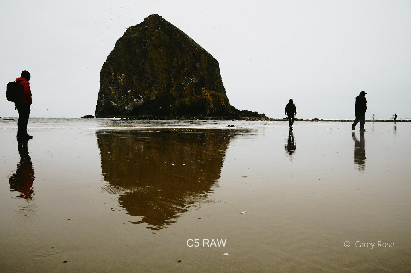 Mobile Filter Styles for Capture One (100+ styles)