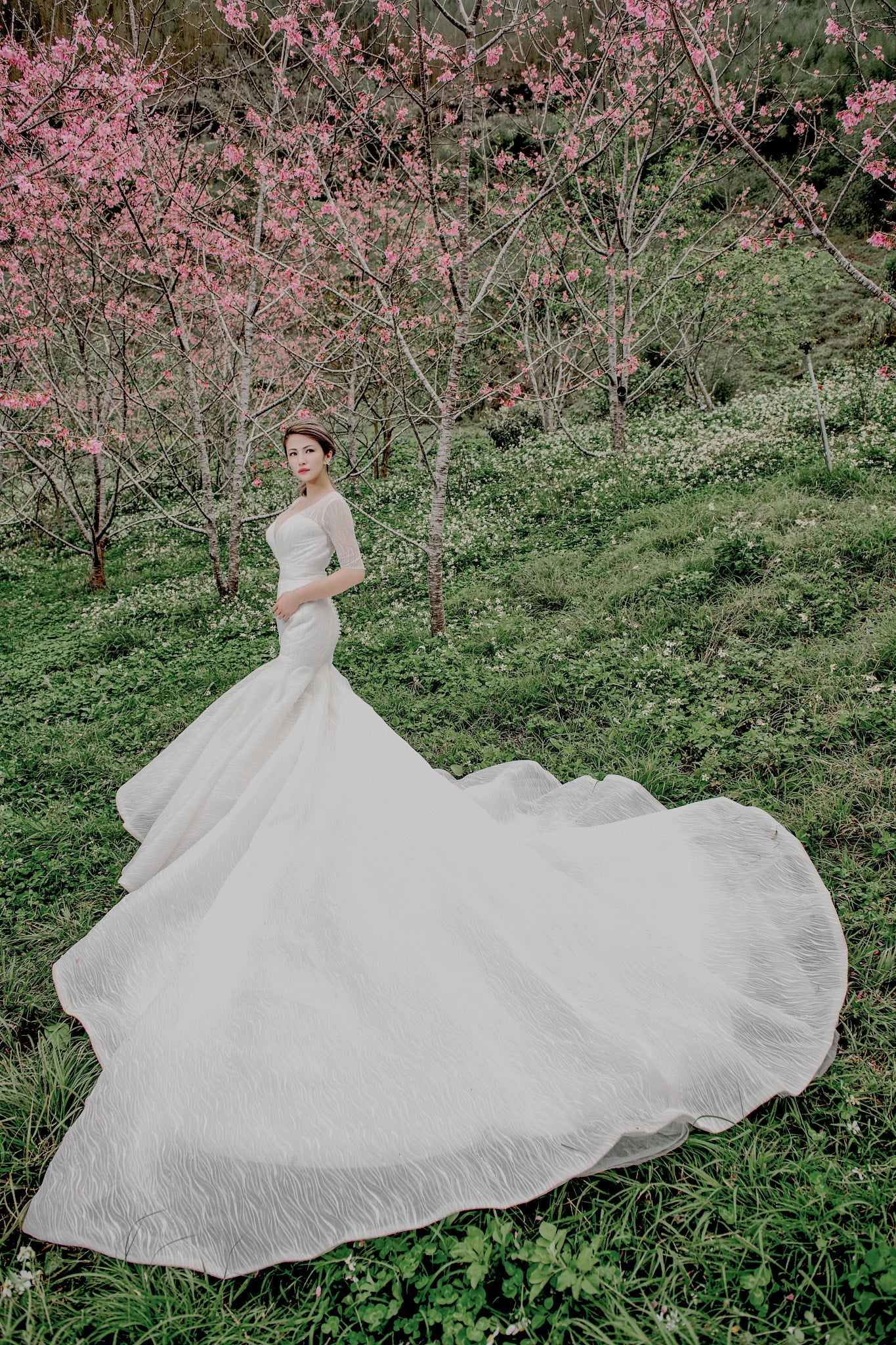 VSCO-Stile für Capture One Vollversion (Filme 00–07 enthalten über 600 Stile)