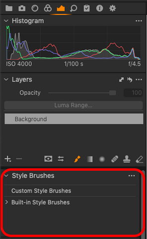Capture One Style Brushes