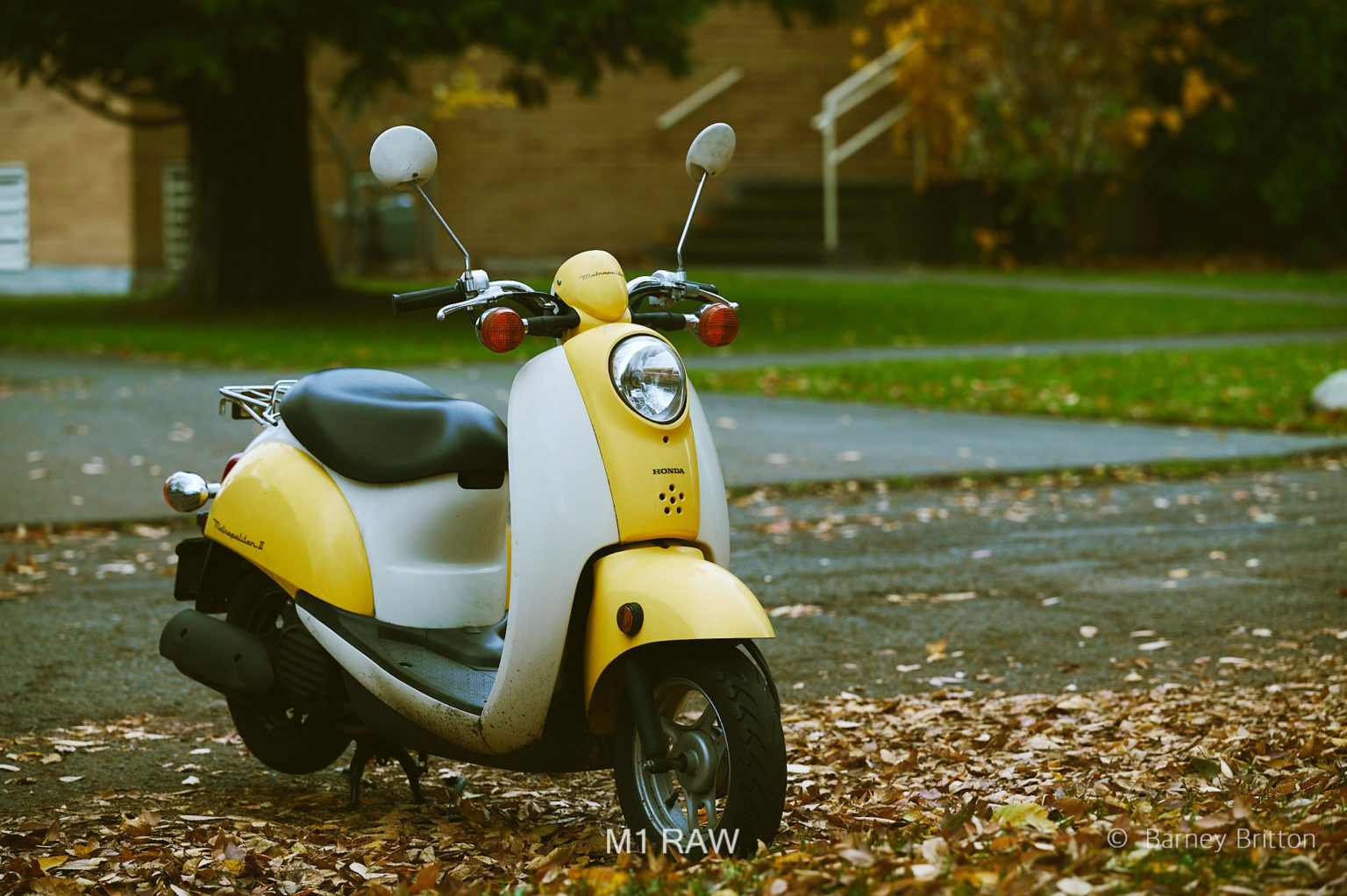 Mobile Filter Styles for Capture One (100+ styles) – Preview 16
